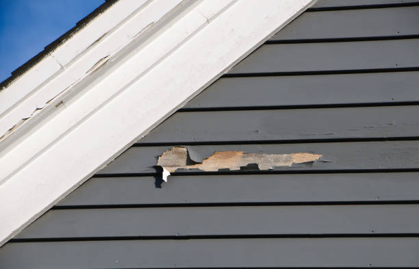 Trusted Roodhouse, IL Junk Removal Experts